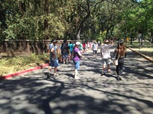 12086735_1627045034241874_1242516665_n