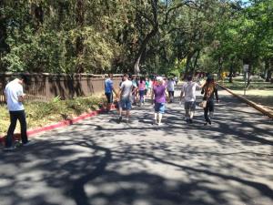 12087437_1627045024241875_1851318949_n